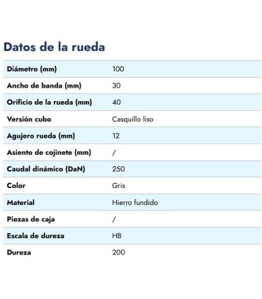 RUEDA EJE PASANTE HIERRO Ø 100X30 EJE 12MM 250KG