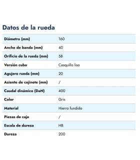 RUEDA EJE PASANTE HIERRO  Ø160X40 EJE 20MM 400 KG