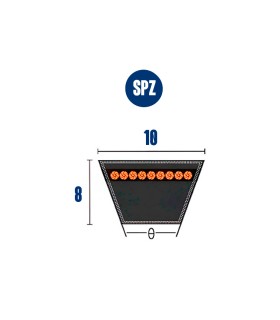 CORREA TRAPECIAL SPZ 862 10x8x862 Lp