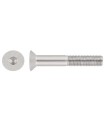 M16X110 TORNILLO AVELLANADO DIN 7991 10.9 ZINCADO