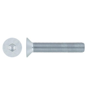 M10X55 TORNILLO AVELLANADO DIN 7991 INOX A4