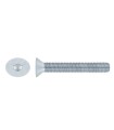 M3X6 TORNILLO AVELLANADO DIN 7991 10.9 ZINCADO
