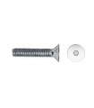 M4X14 TORNILLO AVELLANADO DIN 7991 10.9 ZINCADO