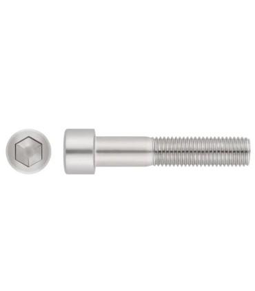 M6X55 TORNILLO ALLEN DIN 912 INOX A2