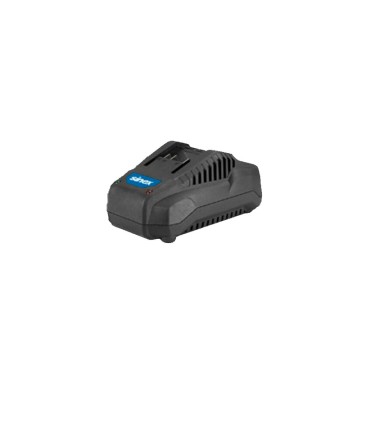 BATERÍA 5.0 AH - L20