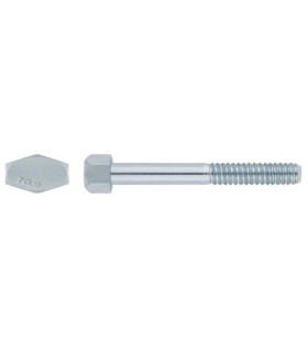 M22X120 TORNILLO HEXAGONAL DIN 931 10.9 ZINCADO