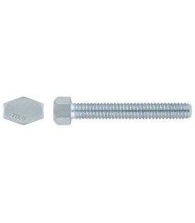M30X65 TORNILLO HEXAGONAL DIN 933 10.9 ZINCADO
