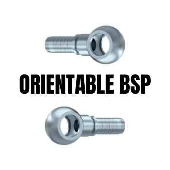 Orientable bsp