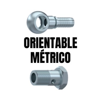 Orientable métrico