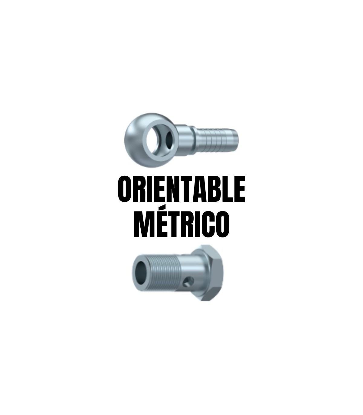Orientable métrico