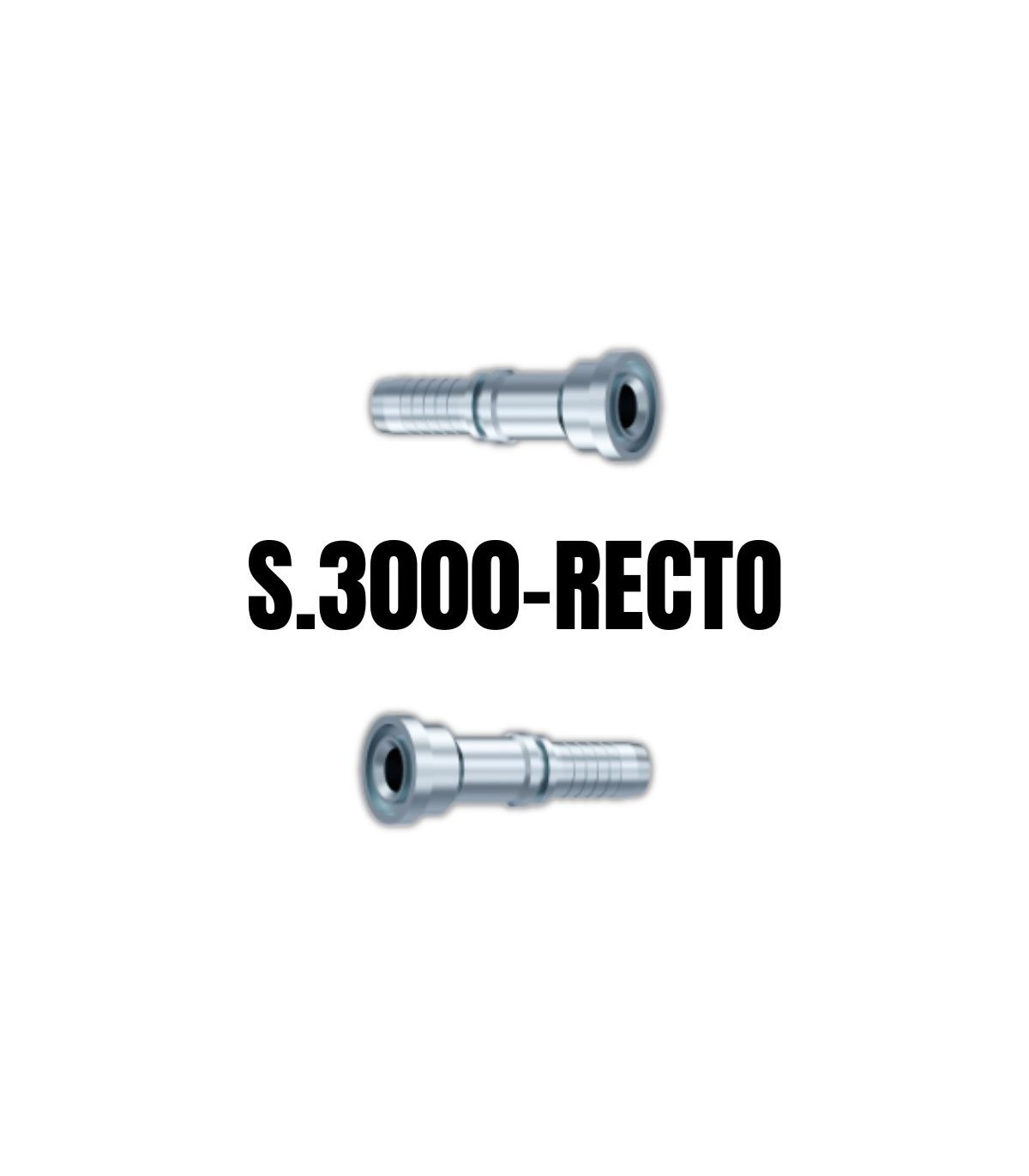 Recto