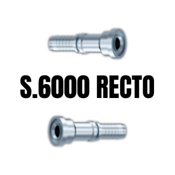 Recto