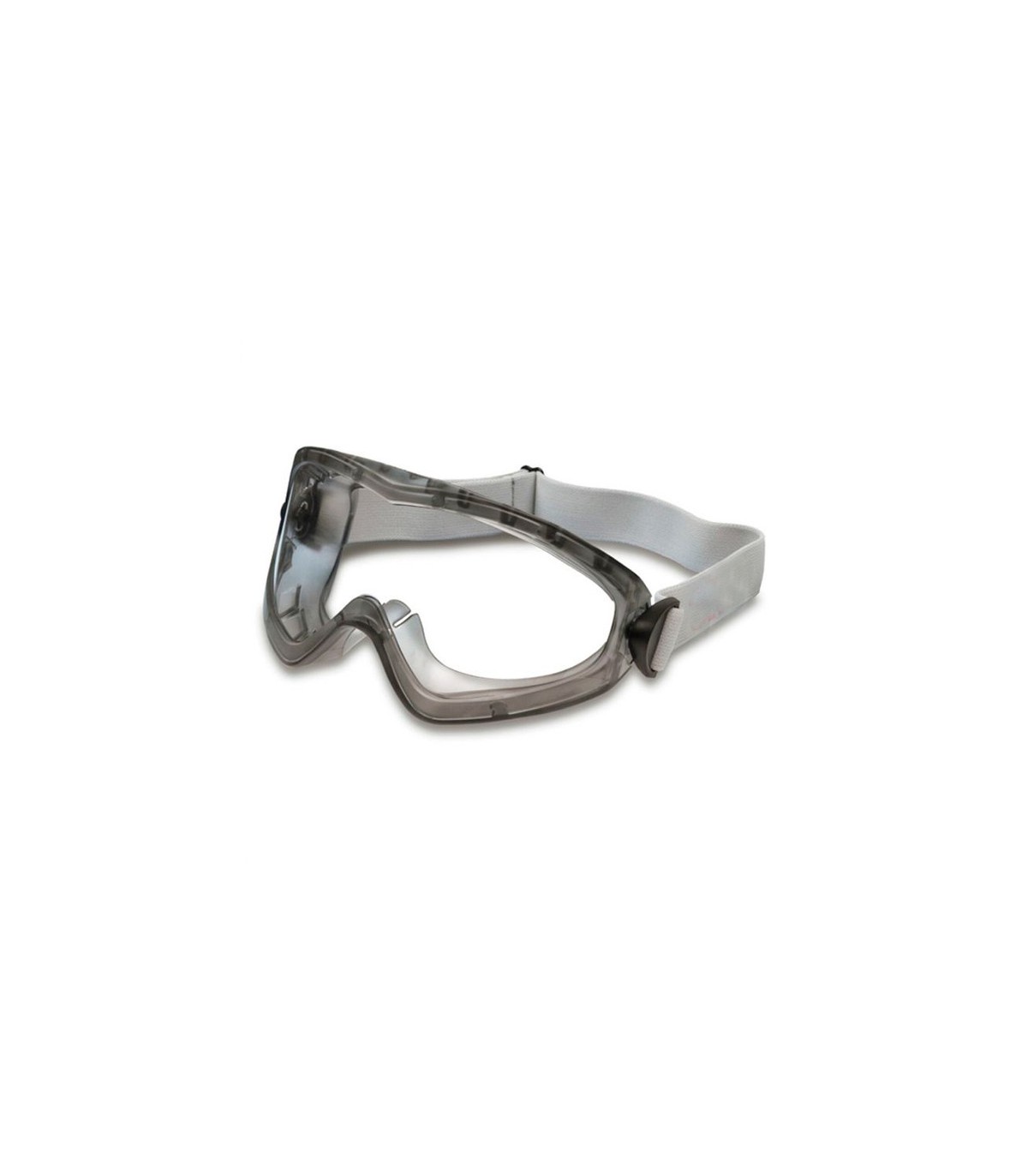 Goggle