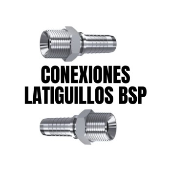 Conexiones latiguillos bsp