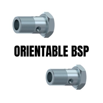 Orientable bsp