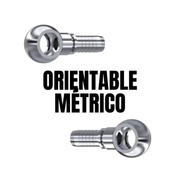 Orientable métrico