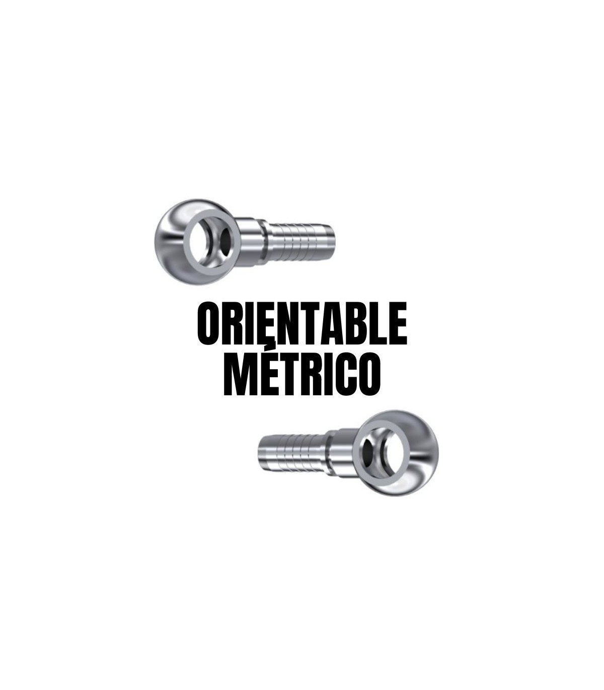 Orientable métrico