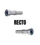 Recto