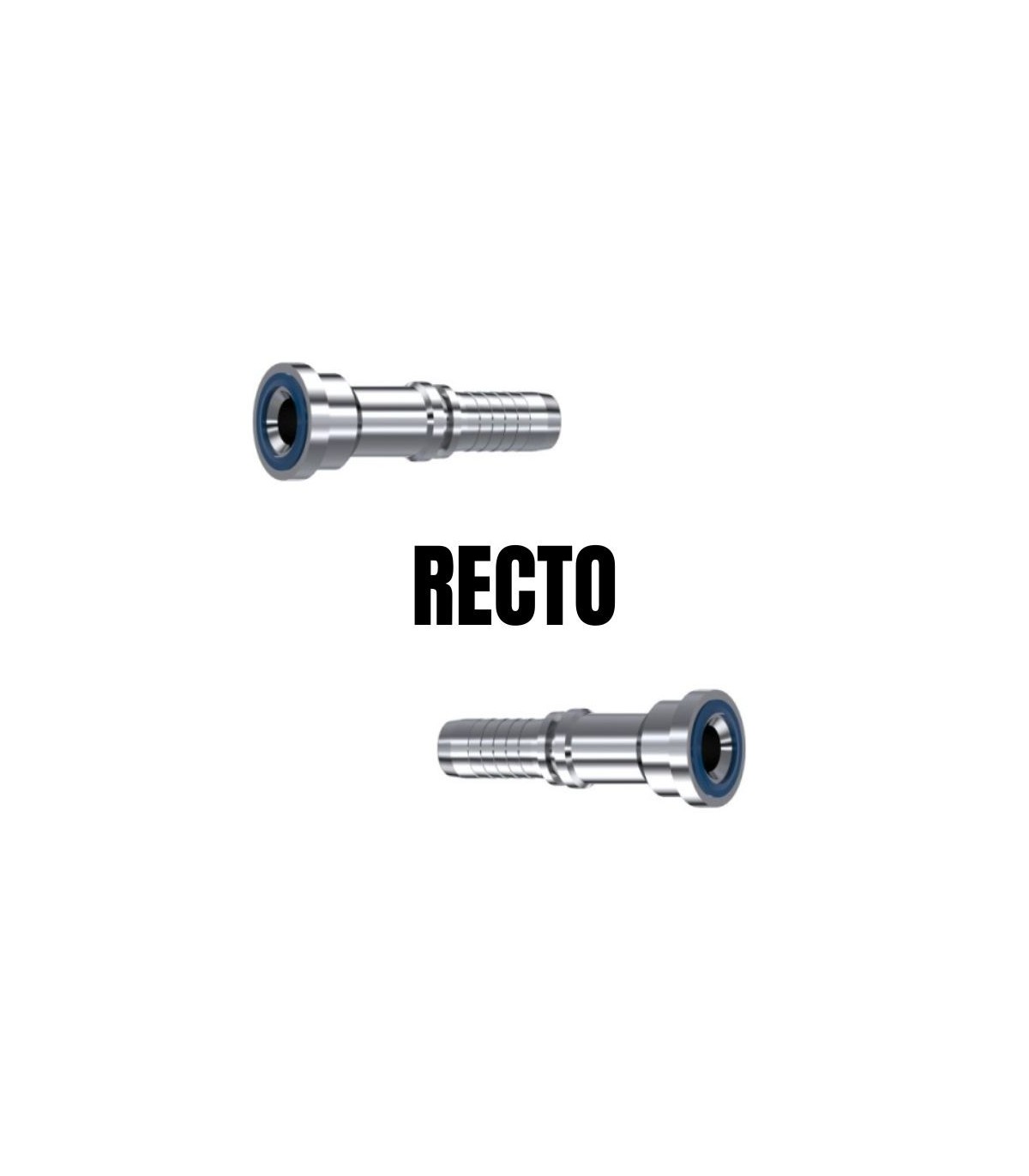 Recto
