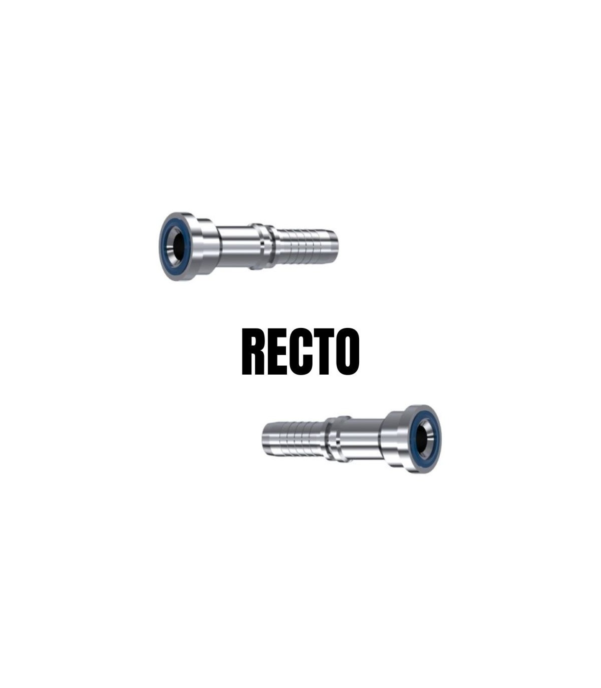 Recto