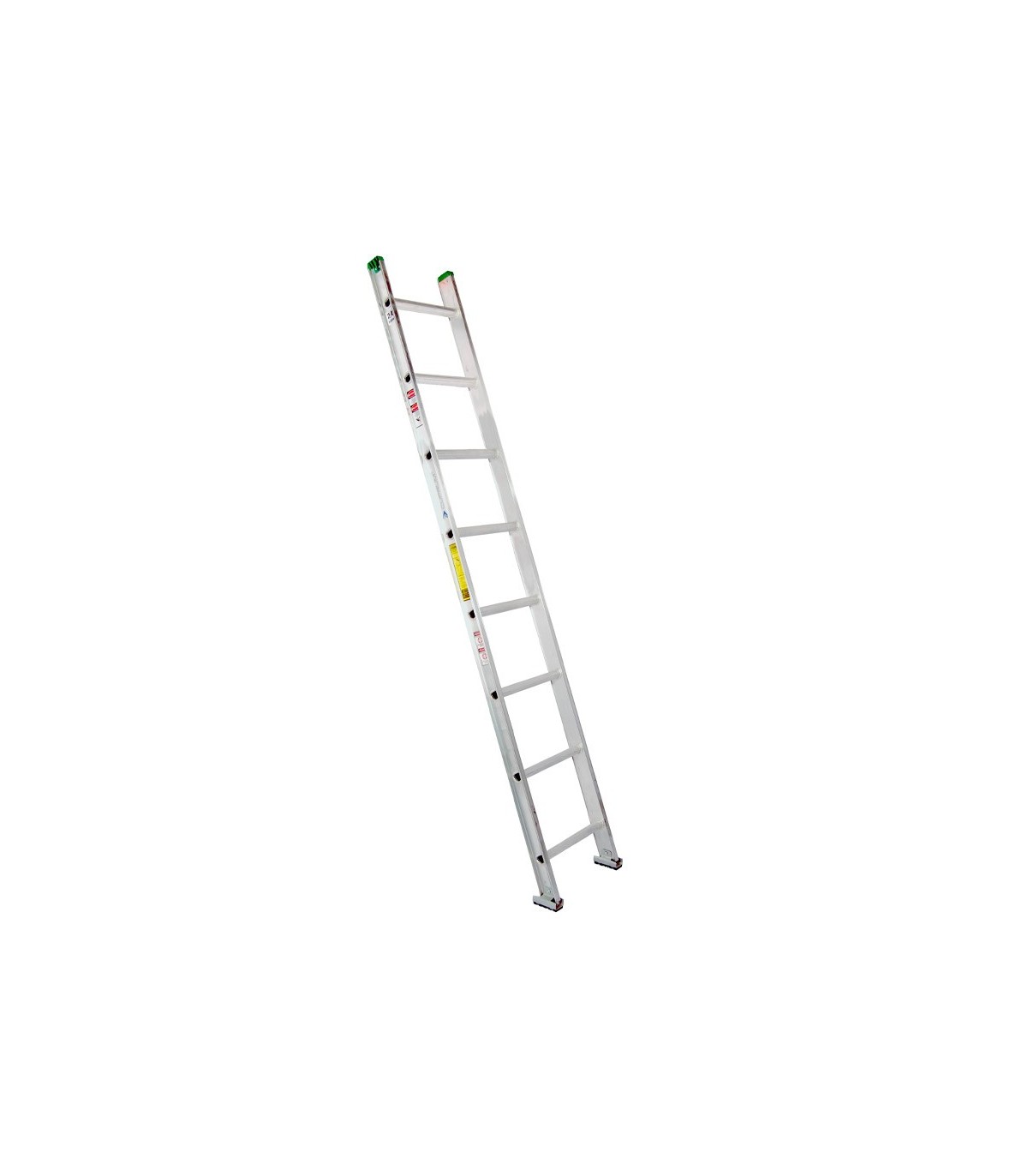 Recta