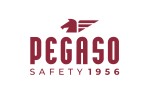 PEGASO, PROTECCIÓN OCULAR